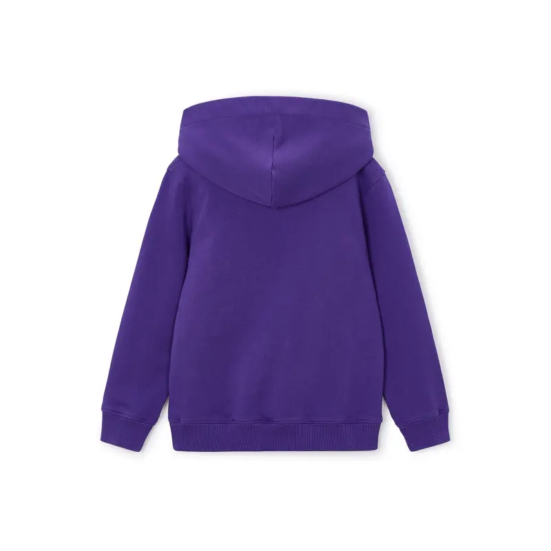 Scotland football Jerseys 2026 World Cup Seattle Hoodie – Youth Collection – Official Soccer Apparel